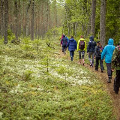 Tiimi päev looduses 1